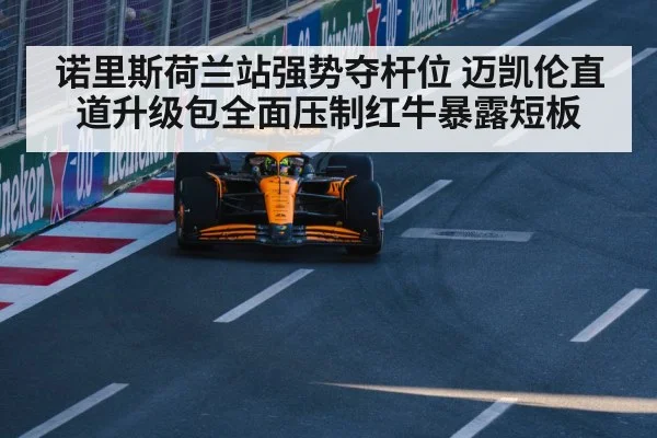 诺里斯荷兰站强势夺杆位 迈凯伦直道升级包全面压制红牛暴露短板