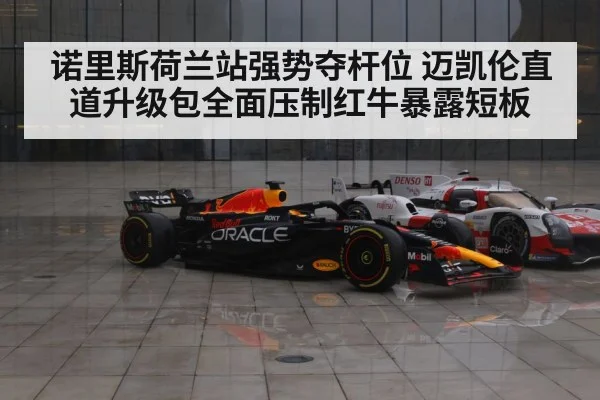 Red Bull F1 car