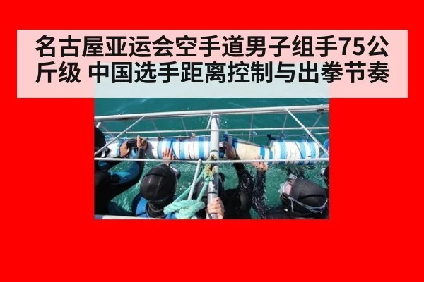 名古屋亚运会空手道男子组手75公斤级 中国选手距离控制与出拳节奏