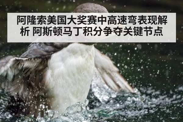 阿隆索美国大奖赛中高速弯表现解析 阿斯顿马丁积分争夺关键节点